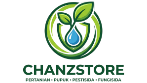 Chanzstore